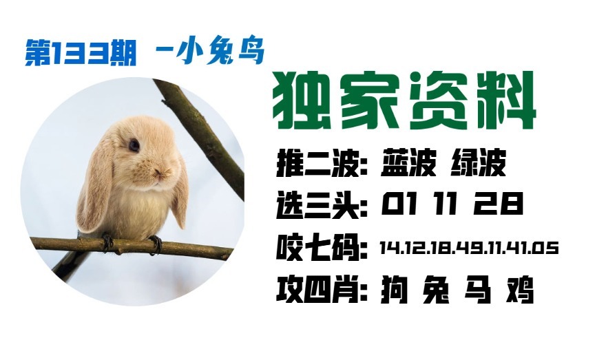 133期小兔鸟[图]